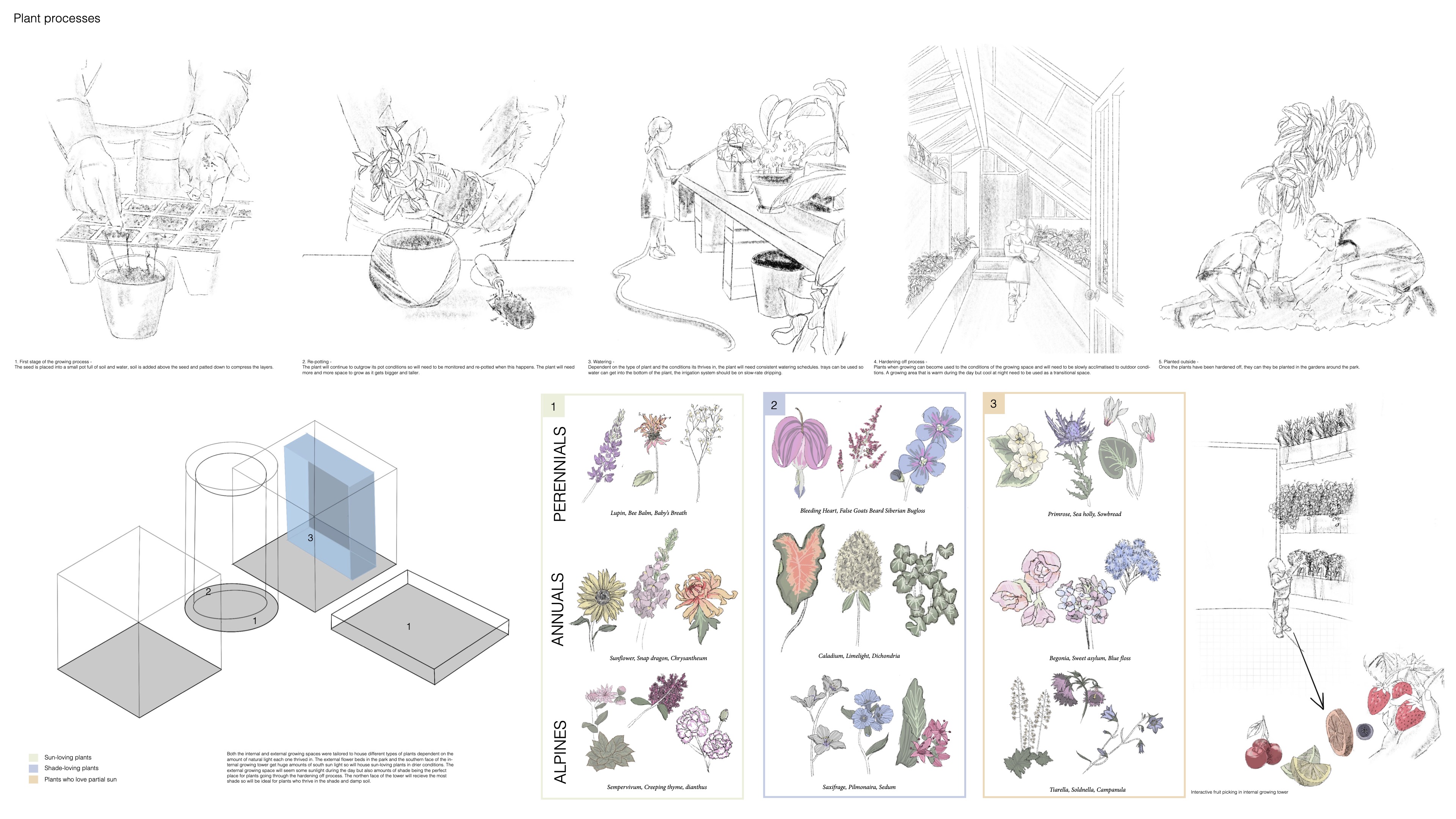 Unit 3 - 5 - Planting