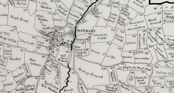 learning through language