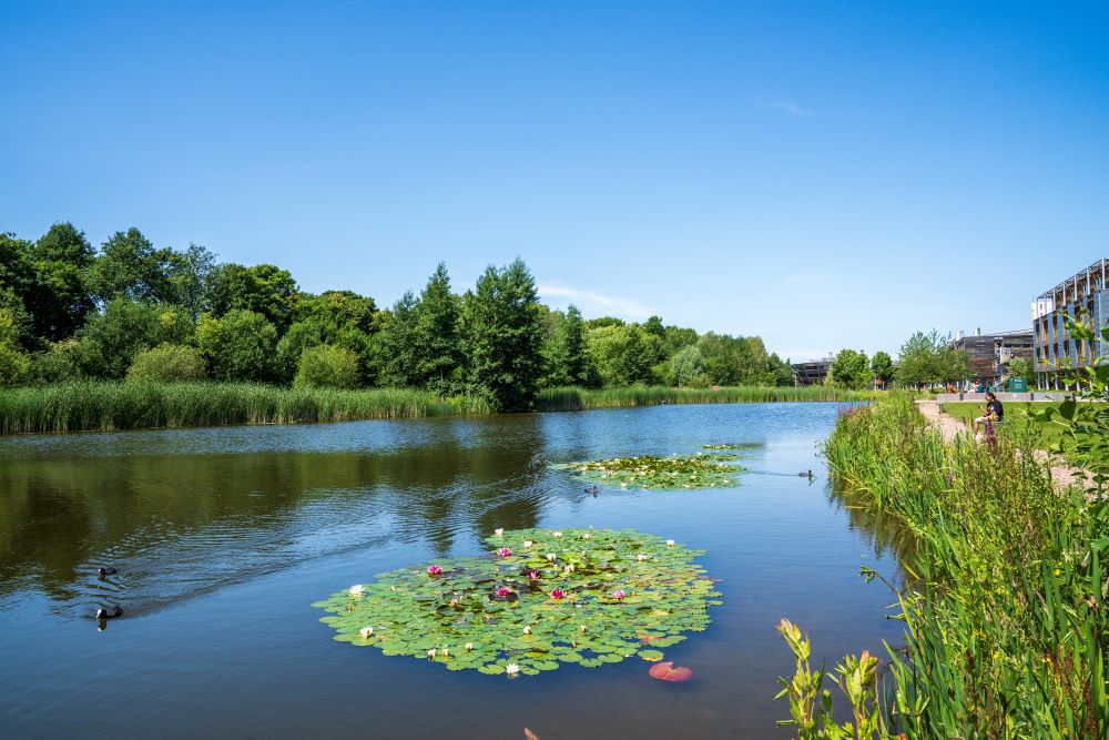 Lake on Jubilee campus