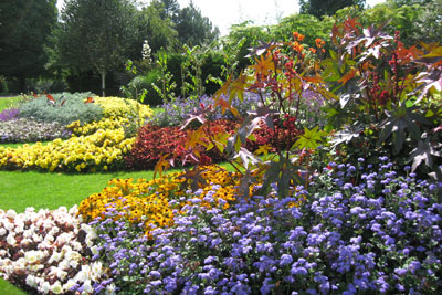 North Entrance Floral Display