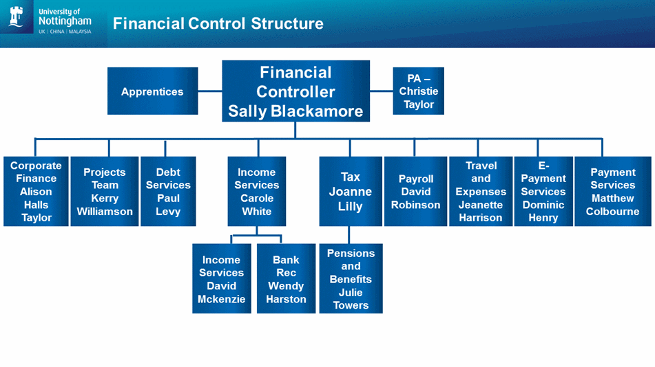 Financial Controller Organizational Chart