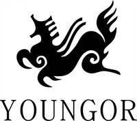 Youngor group