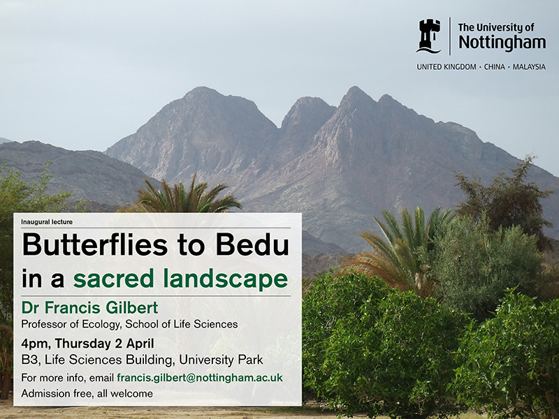 Butterflies to Bedu in a sacred landscape