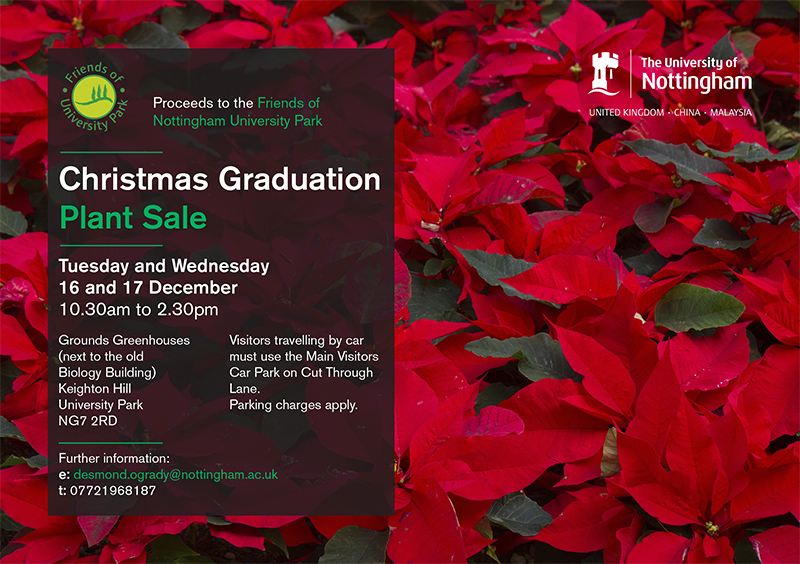 Christmas graduation plant sale