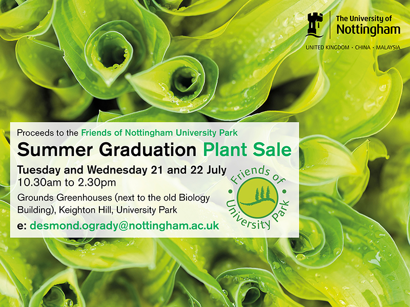 Summer Graduation Plant Sale