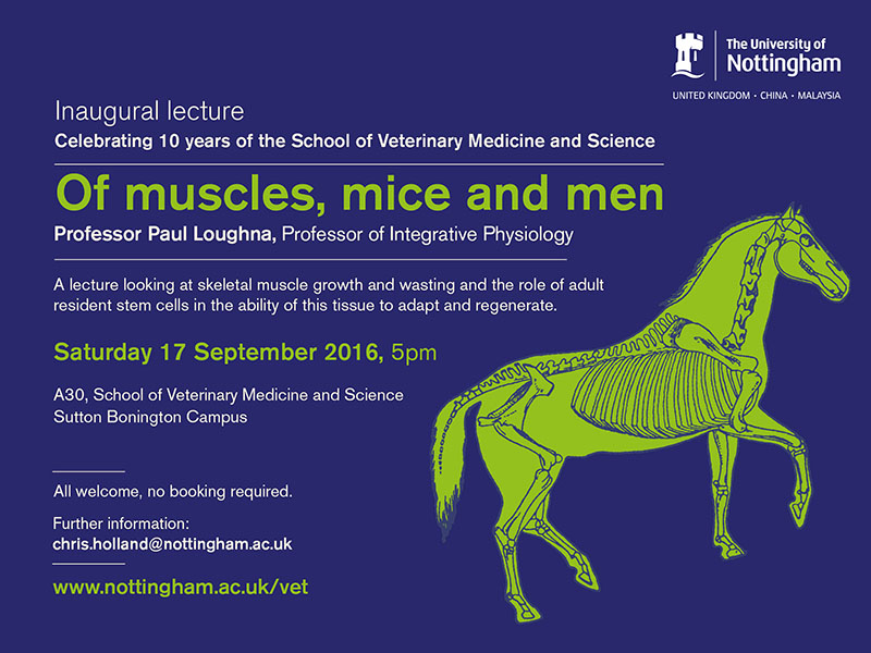 Paul Loughna 800x600