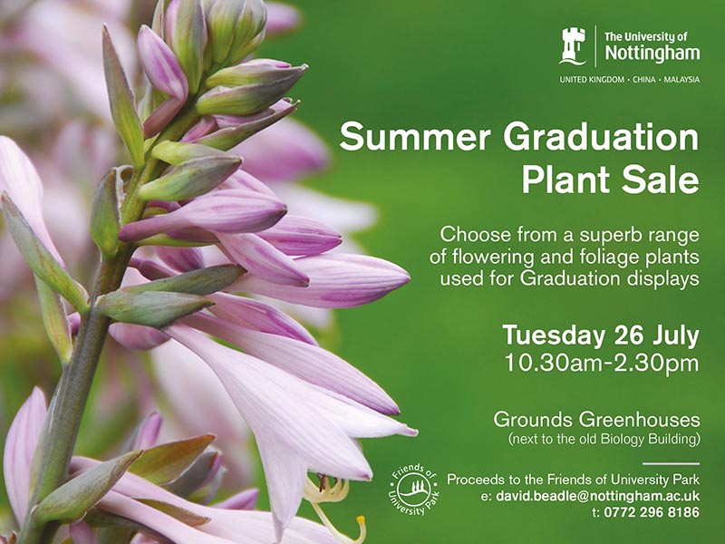 Plant sale 2016 800x300