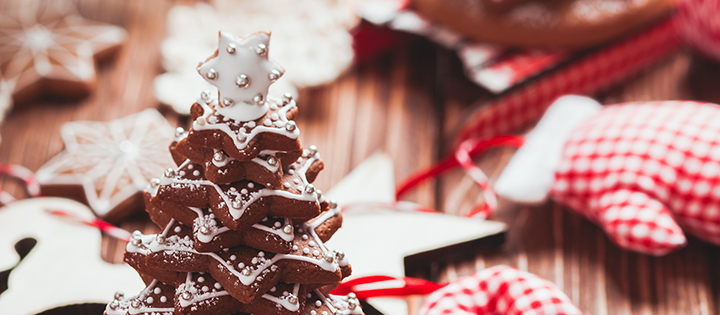 WSN Christmas 720x315