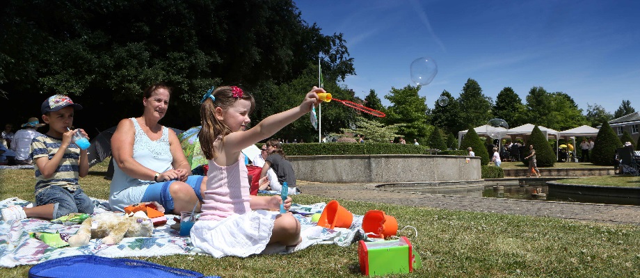 Picnic-in-the-park-CN