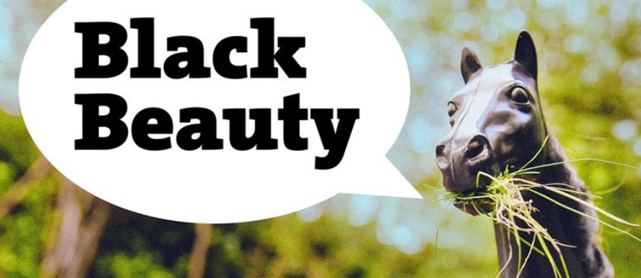 black beauty