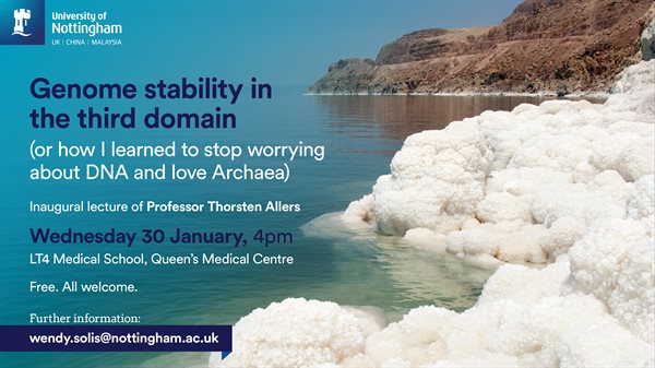 338981-EVE-16x9-ThorstenAllers-NJT-NOV18