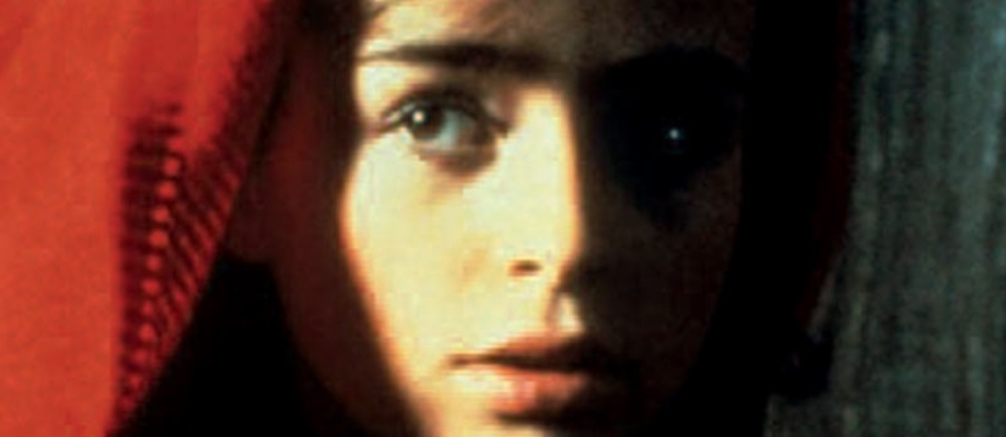 the company of wolves