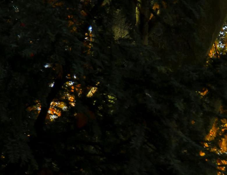 University of Nottingham Trent building in autumn
