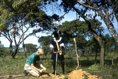 Inherited soil surveys Zambia