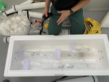 A white box filled with samples in front of a kneeling person whose torso and legs are visible in the photographs.