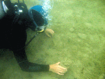 A Nottingham student examines a timber pile at Powidz