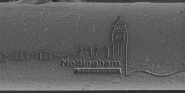 The Nottingham in Parliament Day logo etched onto a single thread of Nottingham bridal lace