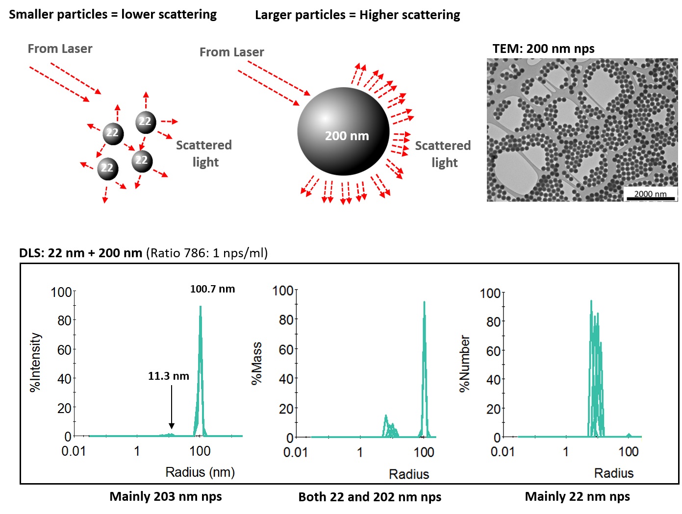 Particle Sizing Suite image 1