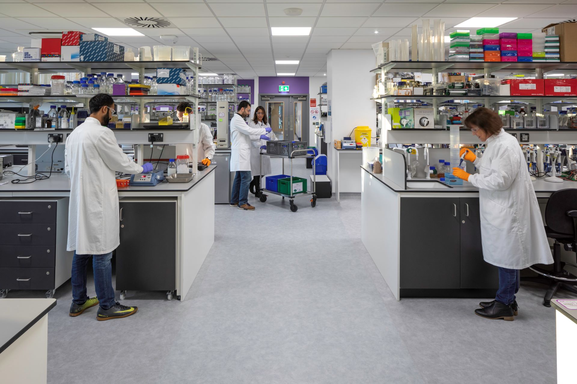 Researchers in white coats working in laboratory