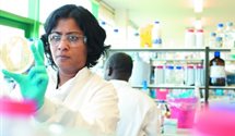 Image of a female chemist using a petri dish in laboratory