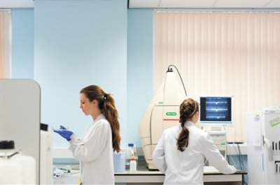 Students performing DNA analysis