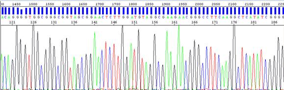 DNA Sequencing