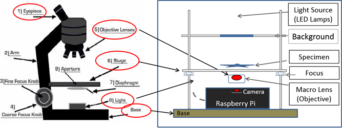 scope-comparison-test