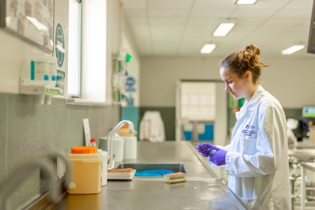 Science with Foundation5