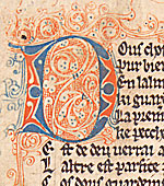 Detail from a folio from 'Manuel des Pechi&eacute;s'