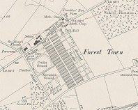 Forest Town_v2_print-cropped