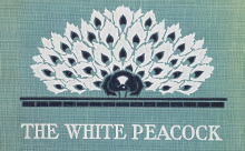 Detail from the cover of DH Lawrence's novel The White Peacock