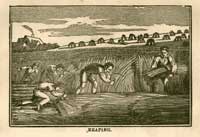Illustrations of ploughing and reaping