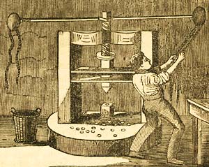 Engraving of a mint, from The Child's Arithmetic: A Manual of Instruction for the Nursery and Infant Schools (London: William S. Orr and Co., 1837)