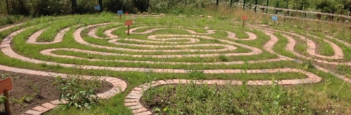 Maze for the public