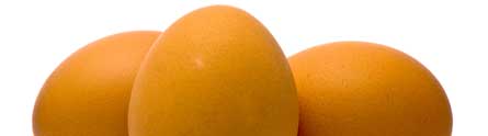 Eggs-pr