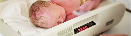 A newborn baby being weighed