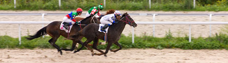 Horse-racingpr