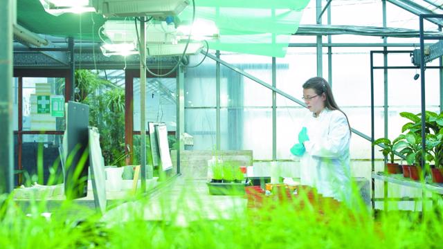 Plant and Crop Sciences PhD/MRes 2022 - University of Nottingham