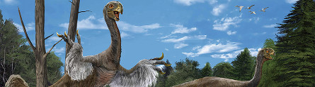 Gigantoraptor445