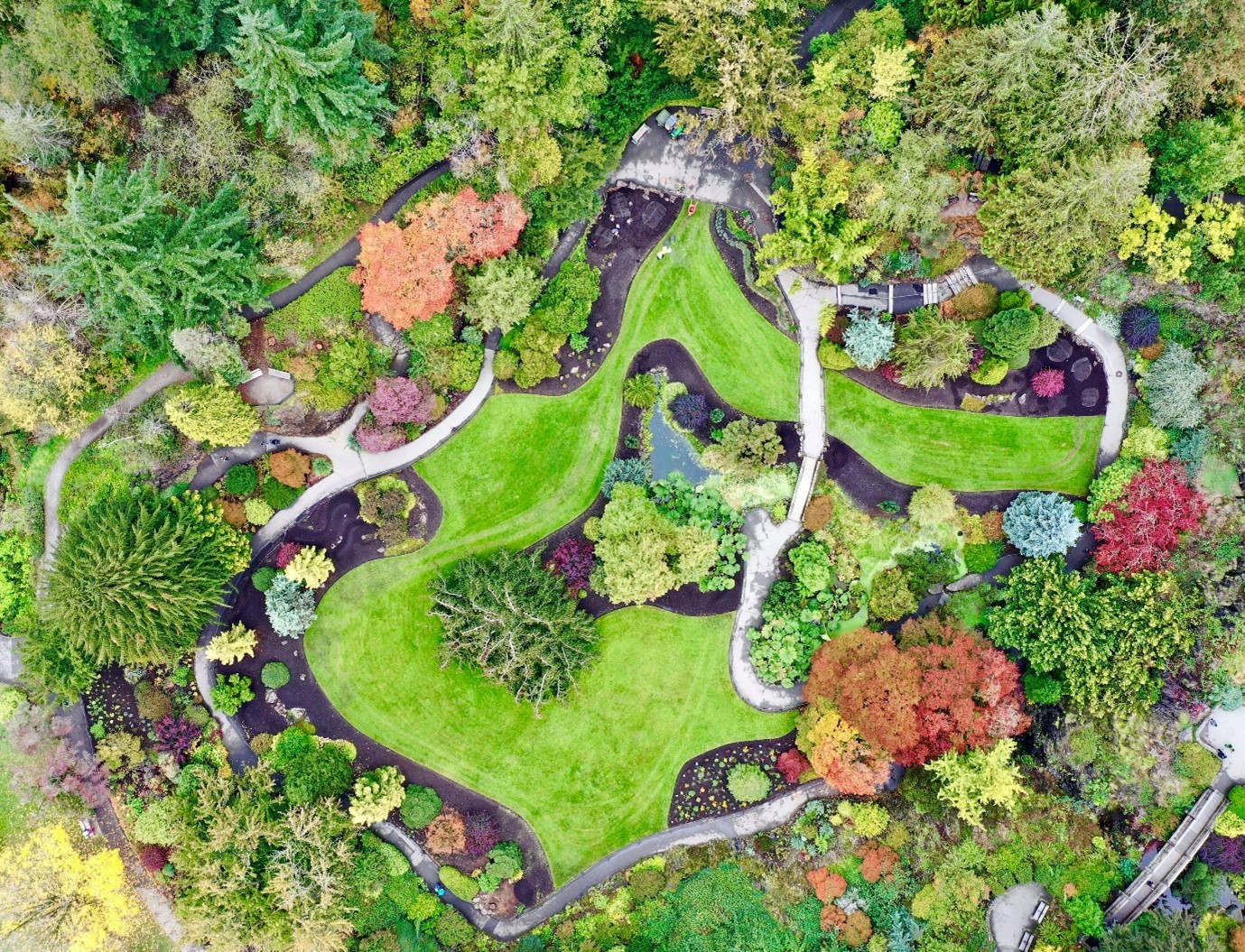 An aerial shot of a landscapes garden