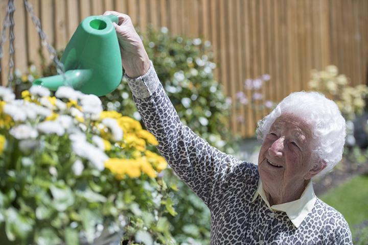 Elderly person watering flowers in their back garden