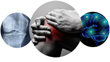 Three circles including an x-ray of a knee, someone holding their knee in pain, and an artist's impression of a brain with glowing points on it
