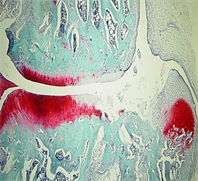 Sadaf_lay summary image Jul 18