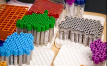 epidemiologicalstudies17712650