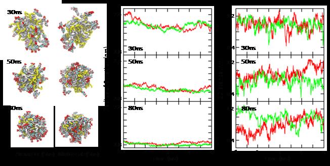 Structures and metrics from the computer simulation of nanoparticle self-assembly