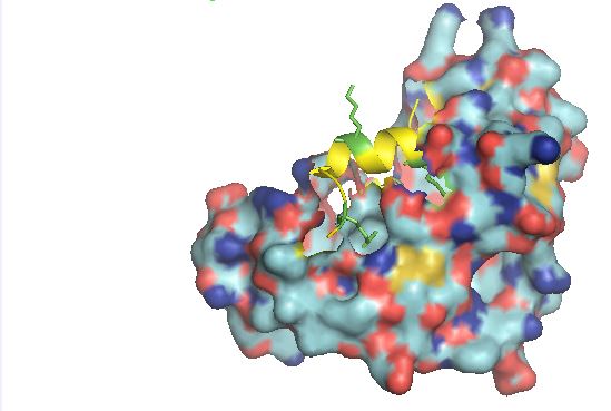 Crystal structure of the KAT6A/MOZ Double PHD Finger domain in complex with the Histone H3 tail acetylated at Lysine 14.  The induced alpha helical fold of the H3 tail is shown (yellow) with side chains of K4, K9 and K14 (green).