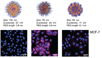 Functionalized Block Co‐Polymer Pro‐Drug Nanoparticles