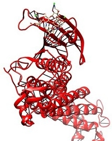 Three-dimensional structure of blood