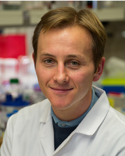 Adam-Ceilz-headsho-tw500