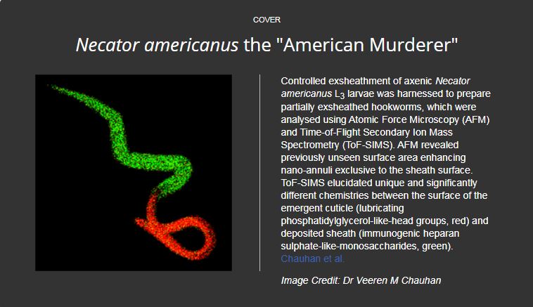 Necator Americanus the "American Murderer"